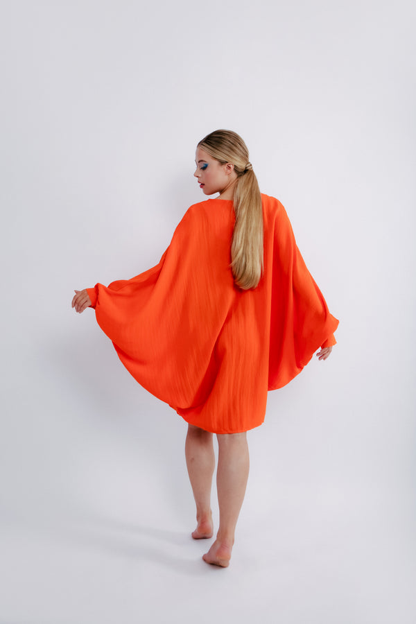 The Paris Dress