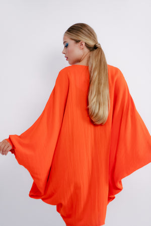 The Paris Dress