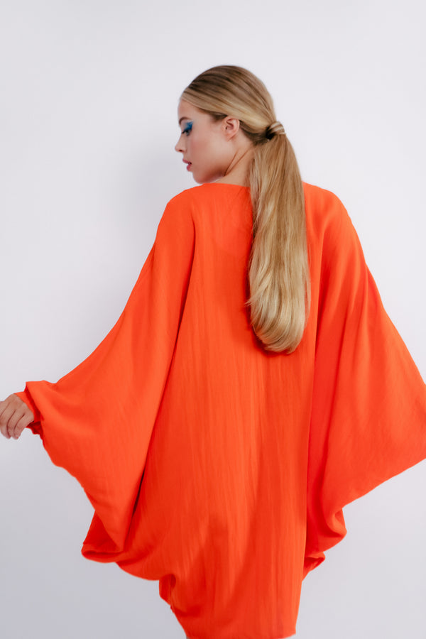 The Paris Dress