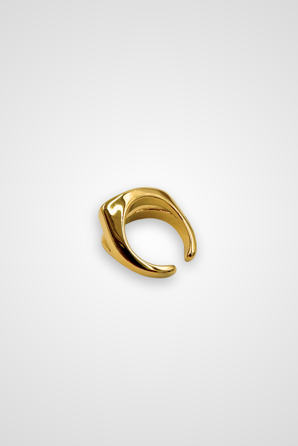 A ring in stainless steel with gold colored finish, edgy design