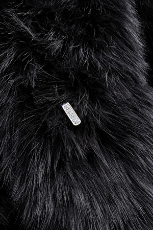 Elegant & Furry 2.0