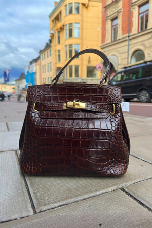 Classy Crocodile