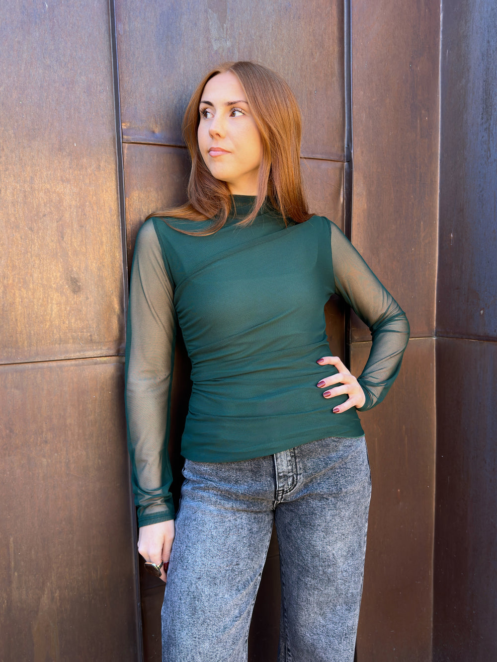 Long sleeved mesh top