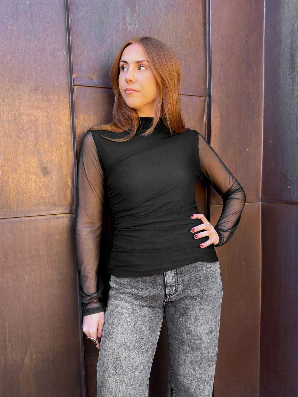 Long sleeved mesh top