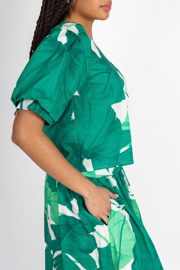 Tropical Set