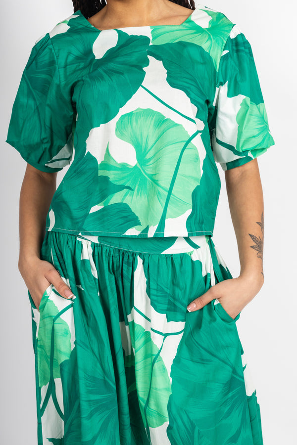 Tropical Set