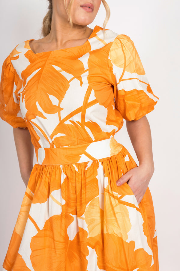 Tropical Set